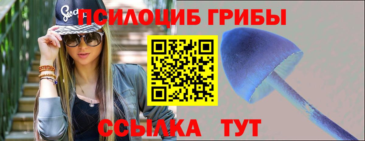 Псилоцибиновые грибы Cubensis Корсаков